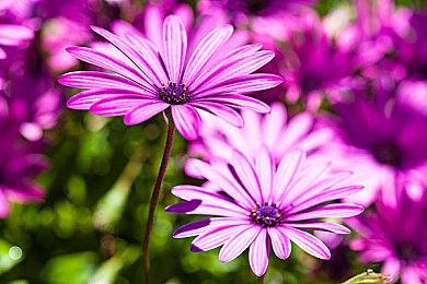 《战地2042》技术封测：XS版比PC版运行更加流畅